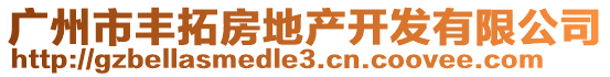 廣州市豐拓房地產(chǎn)開發(fā)有限公司