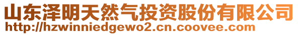 山东泽明天然气投资股份有限公司