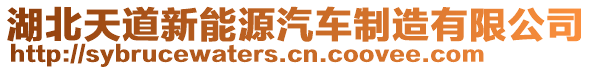 湖北天道新能源汽車制造有限公司