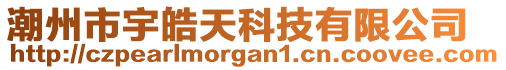 潮州市宇皓天科技有限公司