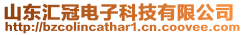 山東匯冠電子科技有限公司