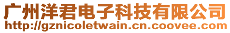 廣州洋君電子科技有限公司