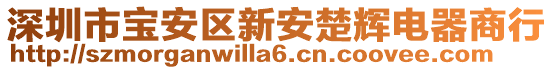 深圳市寶安區(qū)新安楚輝電器商行