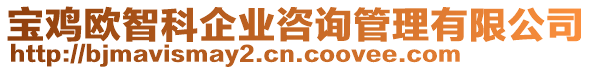 寶雞歐智科企業(yè)咨詢管理有限公司