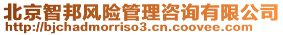 北京智邦風(fēng)險管理咨詢有限公司