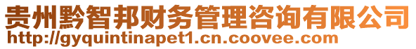 貴州黔智邦財(cái)務(wù)管理咨詢有限公司