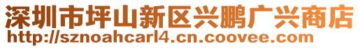 深圳市坪山新區(qū)興鵬廣興商店