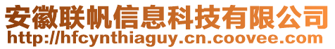 安徽聯(lián)帆信息科技有限公司