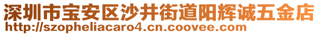 深圳市寶安區(qū)沙井街道陽輝誠五金店