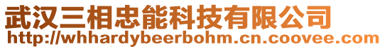 武漢三相忠能科技有限公司