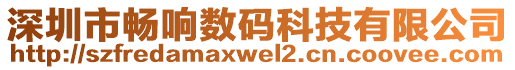 深圳市暢響數(shù)碼科技有限公司