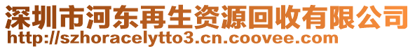 深圳市河?xùn)|再生資源回收有限公司