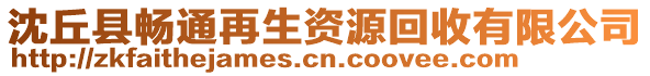 沈丘縣暢通再生資源回收有限公司