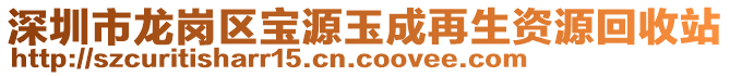 深圳市龍崗區(qū)寶源玉成再生資源回收站