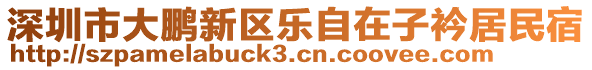 深圳市大鵬新區(qū)樂自在子衿居民宿