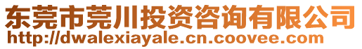 東莞市莞川投資咨詢有限公司