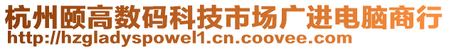 杭州頤高數(shù)碼科技市場廣進電腦商行