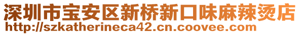 深圳市宝安区新桥新口味麻辣烫店