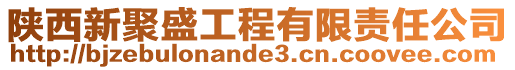 陕西新聚盛工程有限责任公司