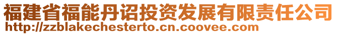 福建省福能丹诏投资发展有限责任公司