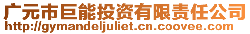 广元市巨能投资有限责任公司