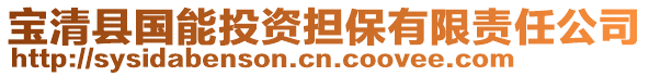 寶清縣國(guó)能投資擔(dān)保有限責(zé)任公司