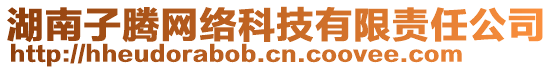 湖南子騰網(wǎng)絡(luò)科技有限責(zé)任公司