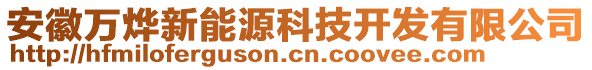 安徽萬燁新能源科技開發(fā)有限公司