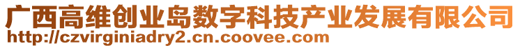 廣西高維創(chuàng)業(yè)島數(shù)字科技產(chǎn)業(yè)發(fā)展有限公司