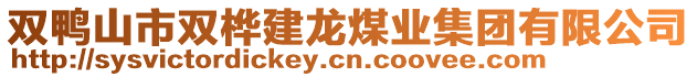 双鸭山市双桦建龙煤业集团有限公司