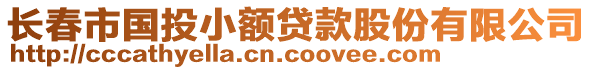 长春市国投小额贷款股份有限公司