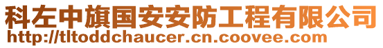 科左中旗国安安防工程有限公司