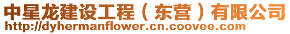 中星龙建设工程（东营）有限公司