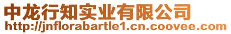 中龙行知实业有限公司