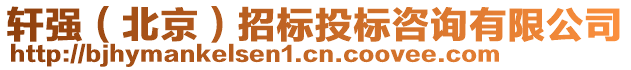 軒強（北京）招標投標咨詢有限公司