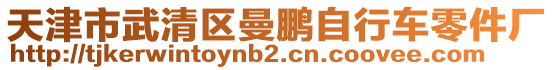 天津市武清區(qū)曼鵬自行車零件廠