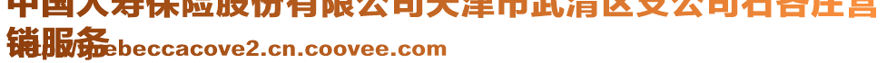 中國人壽保險股份有限公司天津市武清區(qū)支公司石各莊營
銷服務