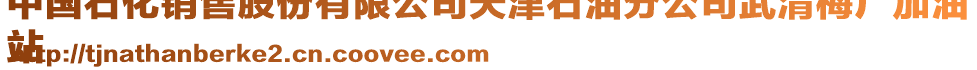 中國石化銷售股份有限公司天津石油分公司武清梅廠加油
站