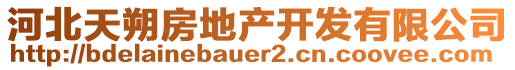 河北天朔房地產(chǎn)開(kāi)發(fā)有限公司