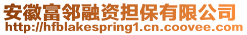 安徽富鄰融資擔保有限公司