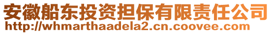 安徽船東投資擔(dān)保有限責(zé)任公司