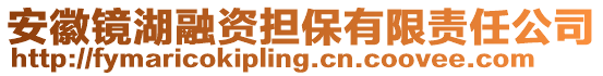 安徽镜湖融资担保有限责任公司