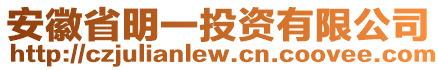 安徽省明一投資有限公司