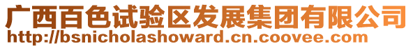 廣西百色試驗(yàn)區(qū)發(fā)展集團(tuán)有限公司