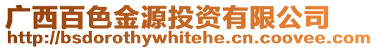 廣西百色金源投資有限公司