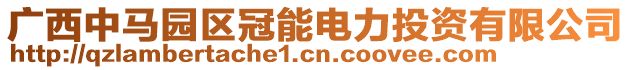 廣西中馬園區(qū)冠能電力投資有限公司