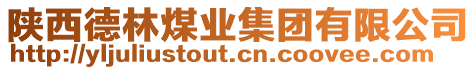 陜西德林煤業(yè)集團有限公司