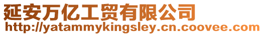 延安萬(wàn)億工貿(mào)有限公司