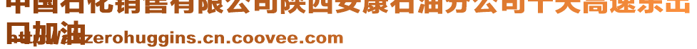中國(guó)石化銷售有限公司陜西安康石油分公司十天高速東出
口加油
