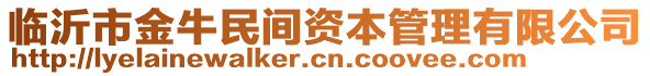 臨沂市金牛民間資本管理有限公司